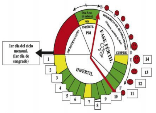 Gráfico 1m