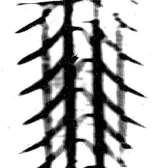 Figura 5.10